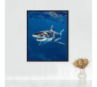 Ocean Diamond Painting, 5d Diamond Painting Kits for Adults Shark, Full Drill Crystal Art Kits for Adults Beginners Cross Stitch Embroidery Crafts Pictures for Home Decor, Gifts 24x32in PJY9 3-4
