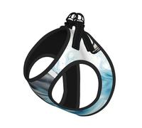 Ocean Dolphin Looking At You Print Harness Leash Set For Cat And Small Dog, Adjustable, Reflective, And Escape-Proof Vest With Soft Breathable Mesh Lining