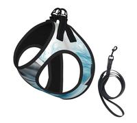 Ocean Dolphin Looking at You Print Soft Mesh Dog Harness and Leash Set Pet Puppy Cat Comfort Padded Vest No Pull Harnesses