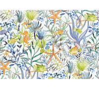 Ocean Dream Note Cards (14 Cards, 15 self-Sealing envelopes)