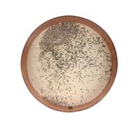 Ocean Drum Wave Drum Nature Sound Therapy Yoga Meditation Sounds Drums Musical Instrument(18 inches)