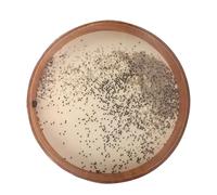 Ocean Drum Wave Drum Nature Sound Therapy Yoga Meditation Sounds Drums Musical Instrument(22 inches.)