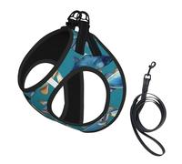 Ocean Fishes Print Soft Mesh Dog Harness and Leash Set Pet Puppy Cat Comfort Padded Vest No Pull Harnesses