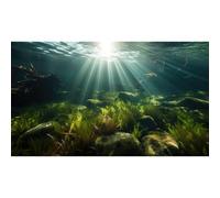 Ocean Floor Aquarium Background Underwater Green Aquatic Seagrass Fish Tank Background Under The Sea Seaweed Sunbeams Terrarium Backgrounds Misty Deep Sea Cork Caves Backgrounds for Aquarium 48x18in