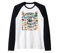 Ocean Friends: Amazing Sea Life for Kids from Tiny to Giant Raglan Baseball Tee