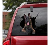 Ocean Gift Belgian Shepherd Car Decals, Dog Car Stickers Pack of 2 - Realistic Belgian Malinois Stickers for Car Windows, Walls Series 57 Size 12" x 12"