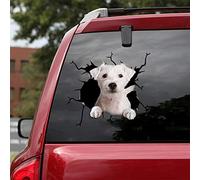 Ocean Gift Parson Russell Terrier Car Decals, Dog Car Stickers Pack of 2 - Realistic Parson Russell Terrier Stickers for Car Windows, Walls Series 78 Size 10" x 10"