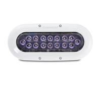 OCEAN_LED NLS-157, X16 Blanca-4,500 LUMENS Unisex-Adult, White, Standard
