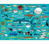 Mudpuppy Puzzle – Ocean Life – 1000pc Family Puzzle