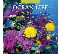 Ocean Life - 2026 Square Wall Calendar - by Red Robin Publishing