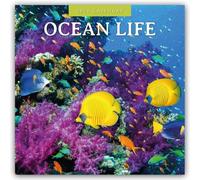 Ocean Life 2026 Square Wall Calendar: Original Red Robin Publishing Ltd-Kalender [Mehrsprachig] [Kalender]