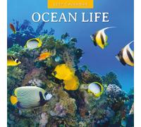 Ocean Life - 2027 Square Wall Calendar - by Red Robin Publishing
