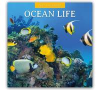 Ocean Life 2027 Square Wall Calendar: Original Red Robin Publishing Ltd-Kalender [Mehrsprachig] [Kalender]