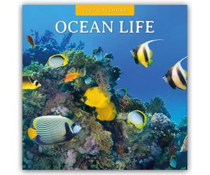 Ocean Life 2027 Square Wall Calendar: Original Red Robin Publishing Ltd-Kalender [Mehrsprachig] [Kalender]