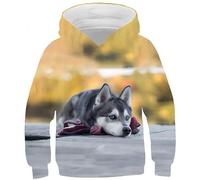 Ocean Plus Boys Digital Print Hoodie with Kangaroo Pocket Girls Cat Sweatshirt Unisex Kids Colourful Hoodie (7-8 years old/125-135 cm, Husky Baby)