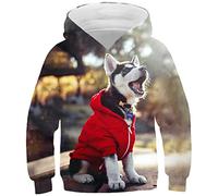 Ocean Plus Boys Digital Print Hoodie with Kangaroo Pocket Girls Cat Sweatshirt Unisex Kids Colourful Hoodie (11-12 years old/145-155 cm, Jacket Husky Baby)