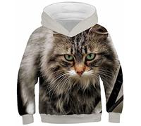 Ocean Plus Boys Digital Printing Long Sleeve Sweatshirt with Hooded Girls Beautiful Hooded Sweatshirt Kids Hooded Sweat Hoodies (7-8 Years/125-135 cm, Water and fire Twin Dragons)