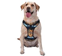 Ocean Scene with Noah's Ark Pattern Dog Harness - Lightweight,Soft,Adjustable Small Harness and Leash Set, Suitable for Puppy Small and Medium-Sized Dog-Large