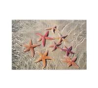 Ocean starfish Printed Adult Fun Puzzle wooden puzzle in a plastic box with letters printed on the back home decor party toy