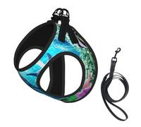 Ocean Underwater Dolphin Fish Print Dog Harness Small Sized And Leash Set, Step In Soft Light Puppy Vest Breathable Mesh Pet Harness