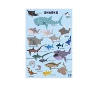 Oceanic Whale Shark Guidebook Knowledge Canvas Poster Wall Art Decor Print Picture Paintings for Living Room Bedroom Decoration 16x24inch(40x60cm)