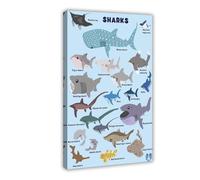 Oceanic Whale Shark Guidebook Knowledge Canvas Poster Wall Art Decor Print Picture Paintings for Living Room Bedroom Decoration 20x30inch(50x75cm)