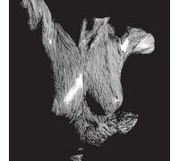 Oceansize – Self Preserved While The Bodies Float Up – Vinyl – 15th Anniversary Edition