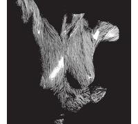 Oceansize - Self Preserved While The Bodies Float Up - Preorder - CD - M4z