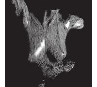 Oceansize - Self Preserved While The Bodies Float Up - Preorder - CD - M4z
