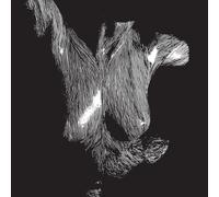 Oceansize Self Preserved While the Bodies Float Up (CD) (PRESALE 02/10/2026)
