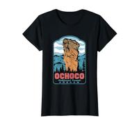 Ochoco National Forest Oregon Steins Pillar Retro Art Value Graphic T-Shirt