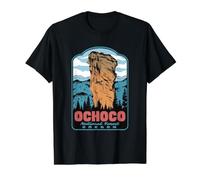 Ochoco National Forest Oregon Steins Pillar Retro Art Value Graphic T-Shirt, Men, Black, S