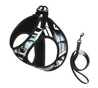Octagon Building Print Soft Pet Harness and Leash Set, Adjustable Mesh Puppy Vest Harness for Small Large Large Dogs and Cats