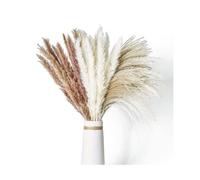 OctBird 70pcs Pampas Grass Decor, Dried Flowers Bouquet, Pampas Grass Artificial, Swingers Grass, Fluffy and Soft Pampas for Home Decor Wedding Boho Decor