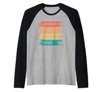 October 2009 16th Birthday Decorations Vintage 16 Birthday Raglan Baseball Tee