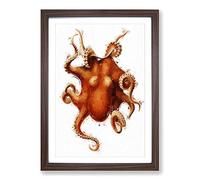 Octopus by Carl Chun Framed Print | A2 Walnut Framed Wall Art | Ready to Hang | Modern Animal Picture | Living Room Bedroom Lounge Office