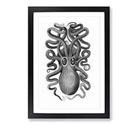 Octopus in Black & White by George Shaw Framed Print | A2 Black Framed Wall Art | Ready to Hang | Modern Animal Picture | Living Room Bedroom Lounge Office