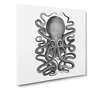 Octopus in Black & White by George Shaw Vintage Canvas Wall Art Print Ready to Hang, Framed Picture for Living Room Bedroom Home Office Décor, 14x14 Inch (35x35 cm)