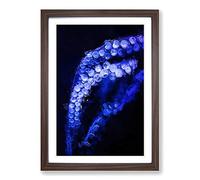 Octopus Tentacles Framed Print | A2 Walnut Framed Wall Art | Ready to Hang | Modern Animal Picture | Living Room Bedroom Lounge Office