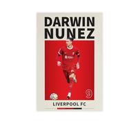 ocvdfss Darwin Nunez Canvas Poster Bedroom Decor Landscape Office Room Decor Gift 12x18inch(30x45cm)