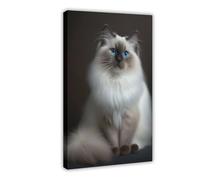 Odd Birman Cats Canvas Poster Bedroom Decor Landscape Gift 16x24inch(40x60cm)