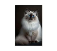 Odd Birman Cats Canvas Poster Wall Art Decor Print Picture Paintings for Living Room 24x36inch(60x90cm)