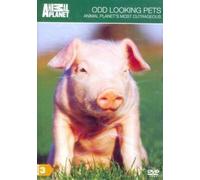 Odd Looking Pets: Animal Planet's Most Outrageous