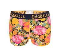 OddBalls | Womens Boxers Shorts | 1 Pack | Womens Underwear | Knickers | Cotton Boxers | Elastic Waistband | Hibiscus | Size 14