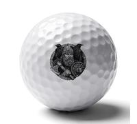 Odin God Vikings Ravens Golf Balls Rubber Practice for Training for Backyard Beginner