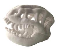 ODJOY-FAN Dinosaur Skeleton Plush Costume, Dinosaur Skeleton Costume, 3D Skull Headpiece and Plush Spine, for Dress-Up & Cosplay（40cm-Headpiece-White）