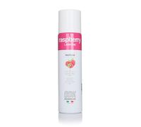 ODK Fruity Mix Raspberry Puree Fruit Purees Fruit puree