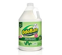 OdoBan Disinfectant Odor Eliminator, Single, Clear