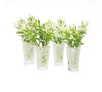 Odoria 1/12 Scale Dolls House Miniature Potted Plants 4Pcs Dollhouse Accessories, White