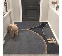Odot Dirt Trapper Door Mat Indoor, Nordic Minimalism Non-slip Doormats Inside, Entrance Mats Soft Floor Carpet Rug, Dog Doormat, Muddy Shoes & Paws, Bathroom, Kitchen (Dark Gray,100x140cm)